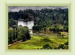 Hill Tour & Green Tour Covai – Munnar – Thekkady – Kodaikanal – Palani – Covai